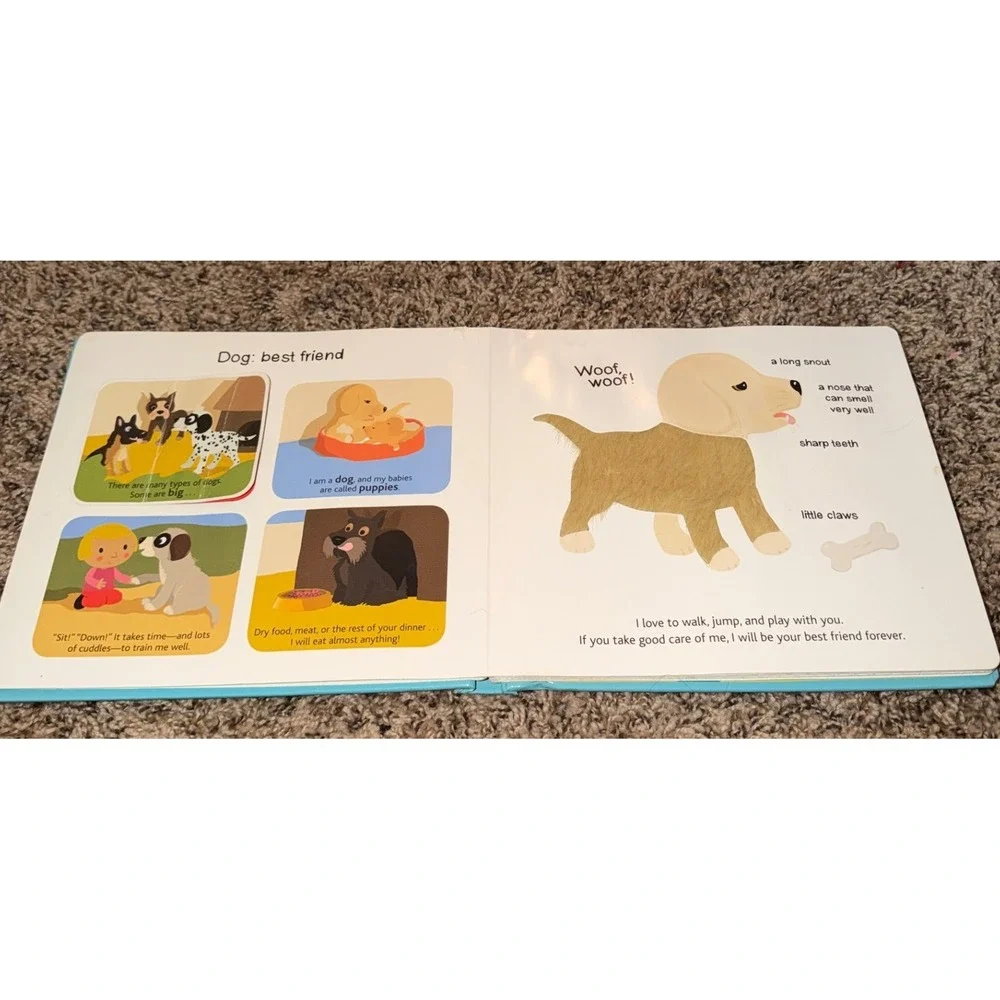 Twirl-Touch and Explore Pets (Board Book)